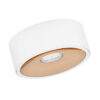 Neo Bianco Slim KG / Ufo Gold - obrazek 4
